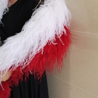 Boas en plumes d'autruche artificielles de haute qualité en gros, accessoires de vêtement, plumes d'autruche pour accessoires de robe DIY, carnaval