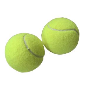 Профессиональный падульный мяч, высокое качество, высокая эластичность, Пляжная Теннисная ракетка, тренировочные теннисные мячи - Product Image 2