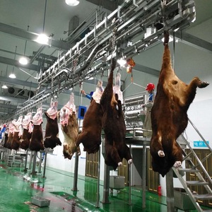 Equipo de Matanza para Mataderos ZBHT, Línea de Procesamiento de <span class=keywords><strong>Carne</strong></span> Halal de Res, Máquina para Procesar <span class=keywords><strong>Carne</strong></span> Bovina, Personalización Disponible - Product Image 6