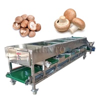 Duurzame aardappel sorteermachine / tomaten sorteermachine / groente sorteermachine