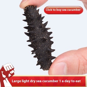 Высококачественный соленый четырехсторонний морской огурец 250 г. Экспорт по всему миру для международных покупателей. Высокая пищевая ценность. Для кулинарии. - Product Image 4