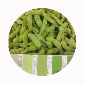 Edamame Verde Congelado IQF de Alta Calidad al por Mayor - Product Image 3