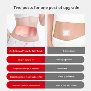 Термопластырь Qiai General Teng Da Di с самонагревающимся эффектом, на основе полыни, для согревания акупунктурных точек и пупка, травяной паровой моксибустонный пластырь (в коробке) - Product Image 4