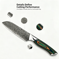 Damascus staal hoog koolstofstaal modern minimalistisch Santoku mes 17,5 cm scherp vleesbijl kleurrijk houten handvat ambidextrous