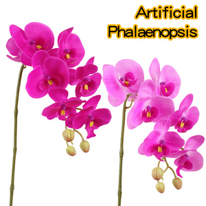 Orquídeas mariposa artificiales de PU al por mayor con alambre de hierro flexible, orquídeas mariposa artificiales, floreros, macetas - Product Image 1