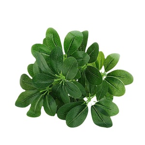 Hojas <span class=keywords><strong>Decorativas</strong></span> <span class=keywords><strong>Artificiales</strong></span> de Seda <span class=keywords><strong>para</strong></span> Bodas, Hojas de <span class=keywords><strong>Plantas</strong></span> <span class=keywords><strong>Artificiales</strong></span> Siempre Verdes, Ramillete de Hojas de Bonsái <span class=keywords><strong>para</strong></span> Uso en Interiores y Exteriores - Product Image 5