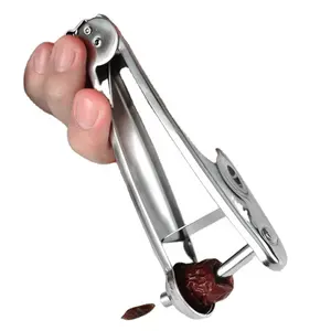 Portable Cherry Pitter Tool Stainless Steel for Cherry Olive Dates Pitters Remover Kitchen Accessories Fruit Vegetable Tools