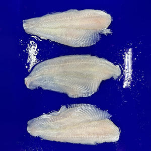 <span class=keywords><strong>ปลา</strong></span>ปังกัสิวแช่แข็งแบบขายส่ง เนื้อปลาบาซาแช่แข็ง ตัดแต่งอย่างดี <span class=keywords><strong>ราคา</strong></span>ถูก - Product Image 5