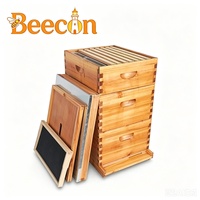 En promotion : Kit de ruche Langstroth Beecon 3 couches 10 cadres, entièrement enduit de cire, avec cadres en bois et fondations en plastique ciré