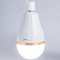 Ampoule de secours LED AC85-265V rechargeable de haute qualité haute luminosité avec batterie détachable pour le camping en plein air