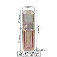 Flacon carré transparent rose 4 ml pour gloss à lèvres avec bouchon à vis et applicateur à grande brosse pour huile à lèvres, couleur personnalisable