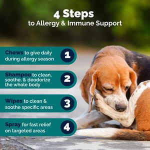 OEM/ODM Marca Privada, Golosinas Naturales Anti-Picazón para Perros y Gatos, Suplementos para la Alergia, Salud Inmunológica, Piel y Pelaje, Absorción Rápida - Product Image 5