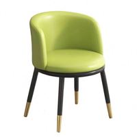 Chaise de salle à manger moderne de luxe léger, chaise de restaurant haut de gamme, chaise de salon en cuir pour hôtel, chaise en métal pour salon de manucure