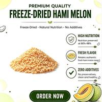Dés de melon Hami lyophilisés FD, emballage en vrac, prêts à consommer pour la production alimentaire industrielle et la fourniture de matières premières