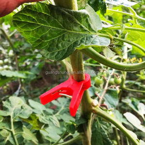 Clips de plantes modernes pour attacher les tomates, les herbes, les fleurs, les courgettes et les vignes en PP et HDPE. - Product Image 5