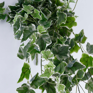 Feuillage de lierre panaché en plastique de bonne qualité au design personnalisé avec 16 branches 245 feuilles fleurs artificielles - Product Image 4