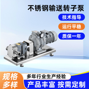 Pompe rotative en acier inoxydable Jinze Pump Industry 304, pompe à engrenages électrique pour le traitement des aliments et des produits chimiques - Product Image 5