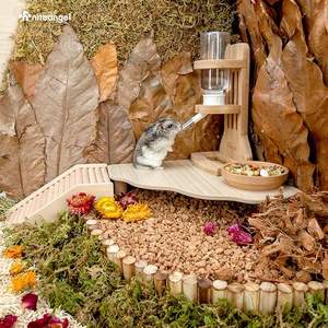 Triangle Hamster Play Plate-forme en bois pour Hamsters nains syriens Gerbilles Souris Dégus ou autres petits animaux de compagnie - Product Image 6