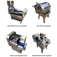 Industriële commerciële roestvrijstalen automatische fruit- en groentestrip-, zoete aardappelchips- en uien snijmachine voor de groenteverwerkingsindustrie