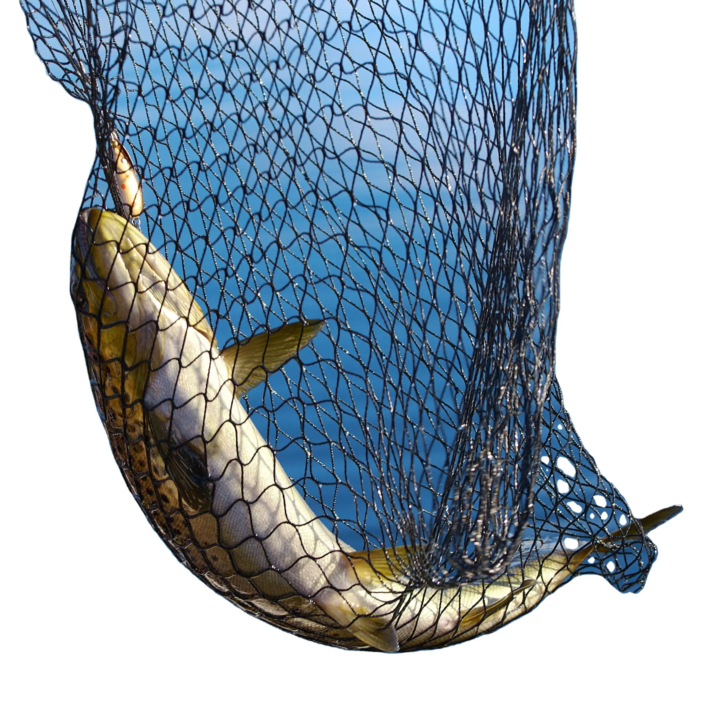 Make Your Next Fishing Trip a Success with Our Reliable Nets