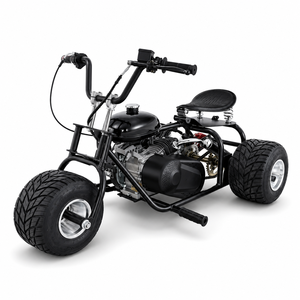 Tricycle de <span class=keywords><strong>Drift</strong></span> Adulte à <span class=keywords><strong>Moteur</strong></span> Essence 212cc à Couple Élevé, Véhicule à Trois Roues de Conception Sportive pour la Course et les Loisirs, Vente en Gros Chine - Product Image 1