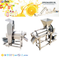 Industriële Fruitafzuigmachine Verwerkingsmachine Sapmaker