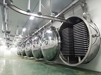 Lyophilisateur industriel pour fruits, légumes et viande - Machine de lyophilisation à haute efficacité
