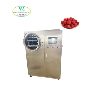 中国廉价自制冷冻干燥机5千克能力为浆果制造