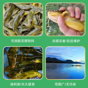 100 ml - Product Image 4