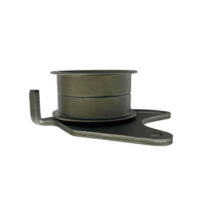 Tensor de Correa Ajustable de Alta Calidad con Rodamiento, Número OE 2431742020 - Product Image 1
