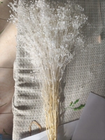 Hadiah Hari Valentine 120g Per ikat Bunga Gypsophila Paniculata Abadi yang Diawetkan dan Kering