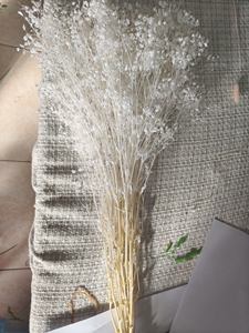 Cadeau pour la Saint-Valentin, 120g par bouquet, fleurs <span class=keywords><strong>de</strong></span> gypsophile paniculata séchées et préservées, éternelles, fleurs <span class=keywords><strong>de</strong></span> gypsophile paniculata éternelles - Product Image 4