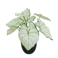 Plante artificielle mini Caladium Taro à 7 feuilles, 23 cm de haut, vente en gros, petit bonsaï