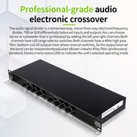 RAYHAYES R-223 Mixeur audio, égaliseur, processeur de signal audio numérique, gain, processeur audio numérique professionnel