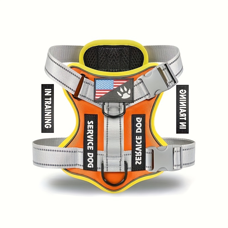 Naranja con Banda Gris