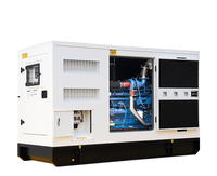 Groupe électrogène diesel polyvalent à refroidissement par eau 12kW-50kW avec capot insonorisé pour la location