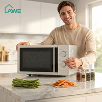 Four à toaster numérique mini 22L - Portable pour camping-car/voiture, en acier inoxydable, multifonction, pour cuire, griller et faire frire à l'air