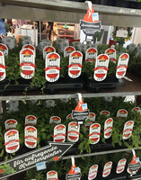 Étiquettes de légumes au piment de Cayenne en plastique étanche imprimées personnalisées CUOR DI BUE ALBENGA pour la vente en gros de pépinière