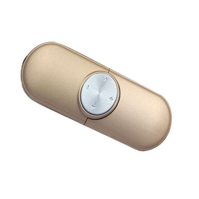 2-in-1 USB Flash Drive MP3 Player, Cute Mini Portable Music Player with TF Card Support