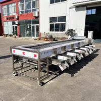 Automatische kiwi-komkommer sorteermachine 500kg/u, automatische abrikozen-granaatappel sorteermachine, pecannoten roller sorteermachine