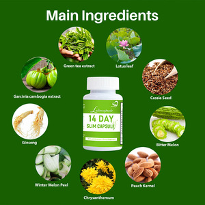 Chinaherbs 14 gün zayıflama kapsülleri yağ yakma ince yeşil çay poşeti organik kaybetmek için özel etiket düz göbek - Product Image 4