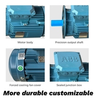 Moteur asynchrone triphasé à haut rendement et économique, IP55, tension AC 380V, fréquence 50/60Hz
