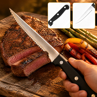 CUISYERA Couteau à steak dentelé en acier inoxydable, lame tranchante, couteau à découper la viande avec manche ergonomique pour la restauration