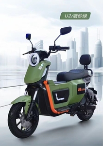 Bicicletta Elettrica Modello <span class=keywords><strong>U2</strong></span> con Freno a Disco per Esportazione, Scooter Elettrico di Grandi Dimensioni dal Produttore - Product Image 3