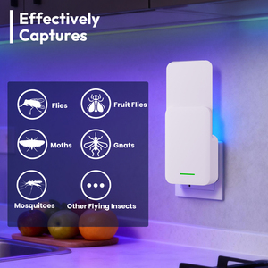 Mới nhất trong nhà Fly bẫy côn trùng kiểm soát dịch hại UV ánh sáng dính Pad hiệu quả chống lại muỗi trái cây ruồi Bướm Đêm gnats ong bắp cày - Product Image 2