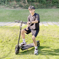Yetişkin katlanır elektrikli scooter 250w 350w 500w 10 inç 36V 48V elektrikli Scooter ile koltuk 8/9/10AH pil E Scooter