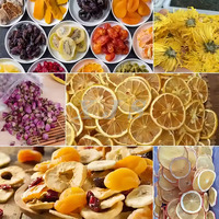 Far-Infrarood Ray Droogkorrels Gevriesdroogd Rundvlees Jerky Snacks Cacaobonen Groenten Droge Vruchten Noten Dehydrator