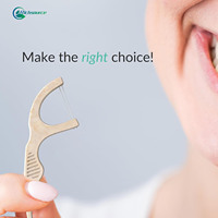 Cure-dents écologiques en bambou à la menthe, marque Richsource, vente directe d'usine, cure-dents dentaires avec manche en PLA de qualité alimentaire pour les soins bucco-dentaires
