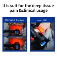 Appareil de thérapie laser à lumière rouge portable pour soulager la douleur de l'arthrite chez l'homme et chez l'animal, source d'alimentation électrique pour traitement en voiture