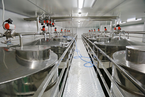 Detersivo <span class=keywords><strong>Liquido</strong></span> per Piatti al Tè Bianco Menta - Pulizia Efficace per <span class=keywords><strong>Vetro</strong></span> e Stoviglie - Product Image 4